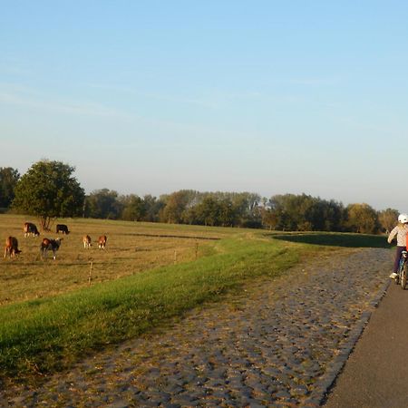 Ferienhof Gruene Kuh Elsteraue Eksteriør bilde